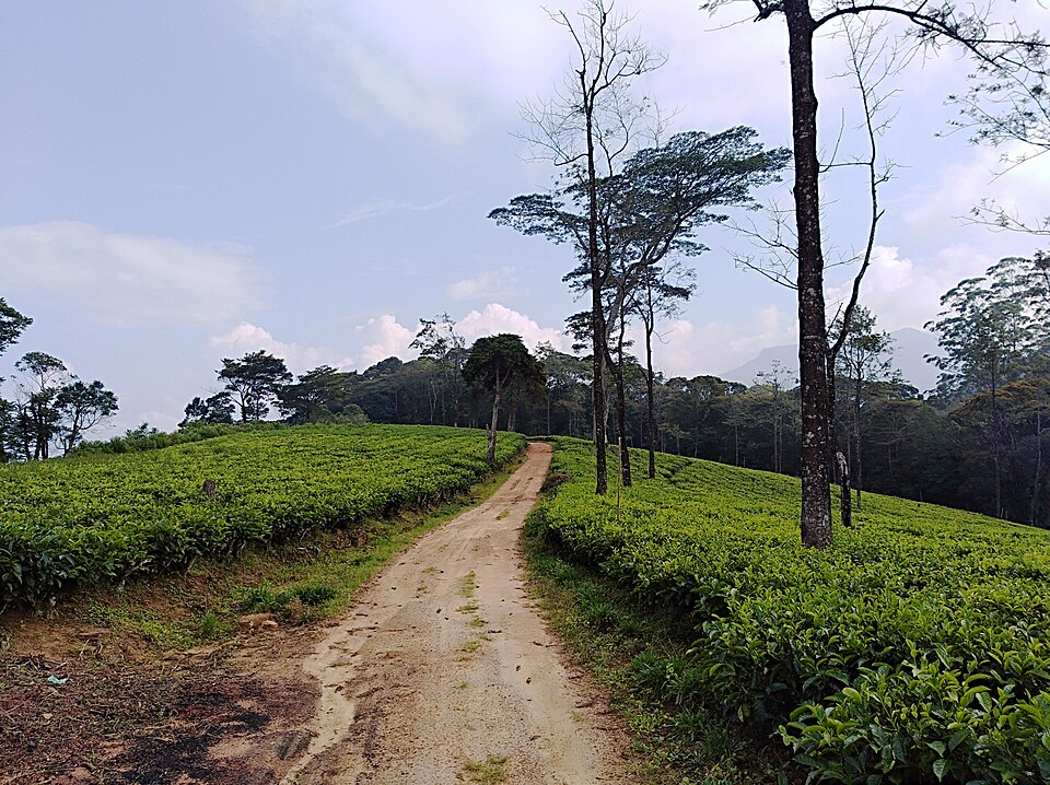 Sri Lanka — multi-vendor marketplaces for local businesses