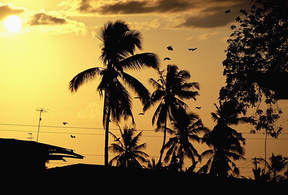 Malindi — custom e-commerce platforms for local businesses