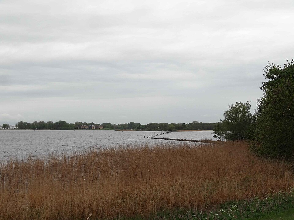 Almere — B2B and wholesale portals for local businesses