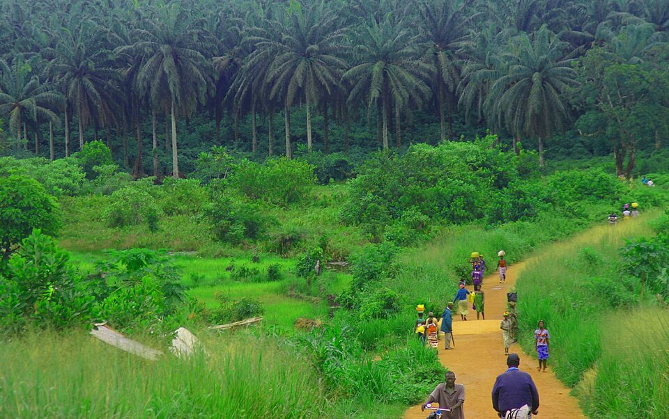 Sierra Leone — local market for online stores