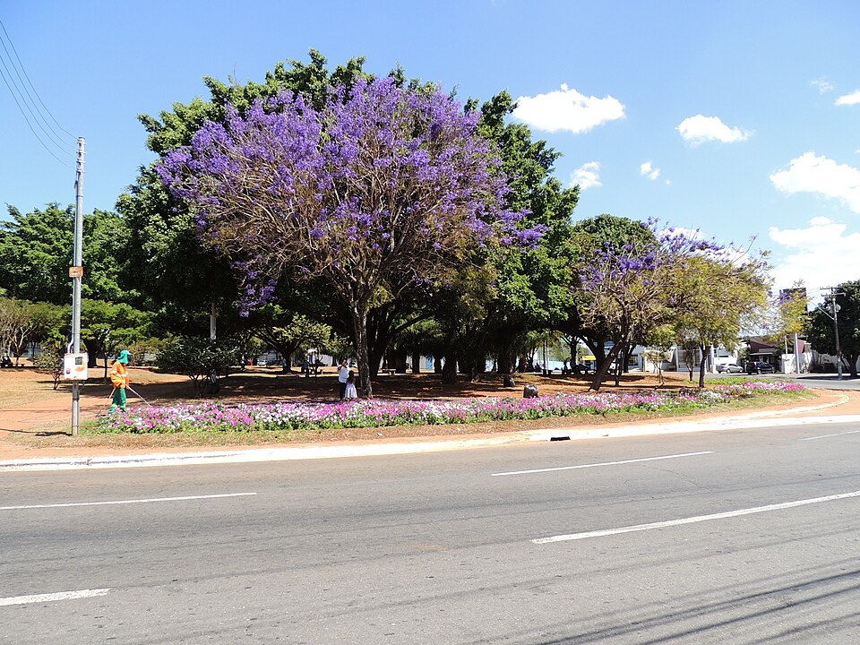 Goiânia — local market for manufacturer and distributor portals