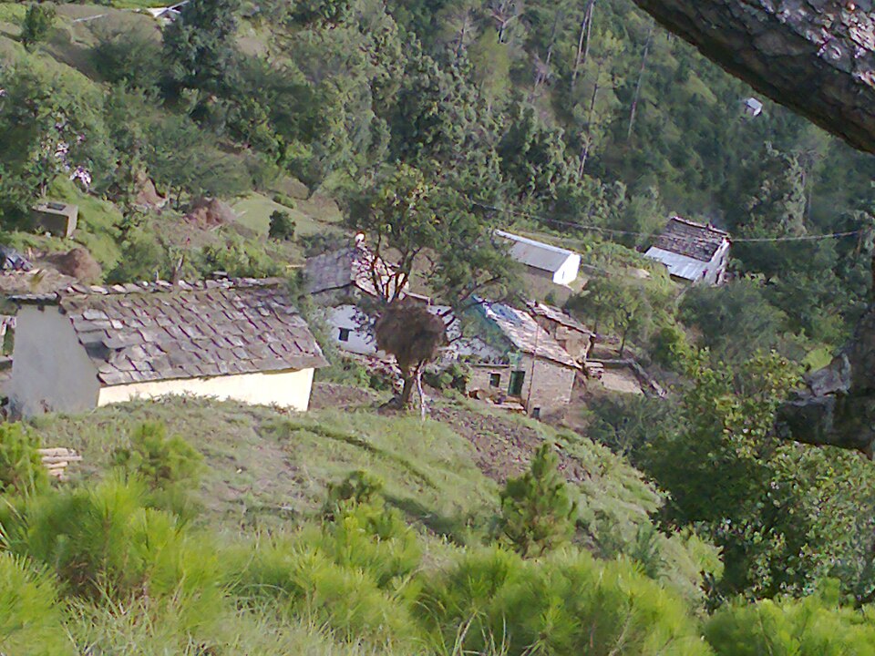 Almora — online stores for local businesses