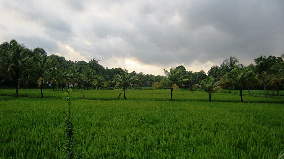 Palakkad — local market for multi-vendor marketplaces