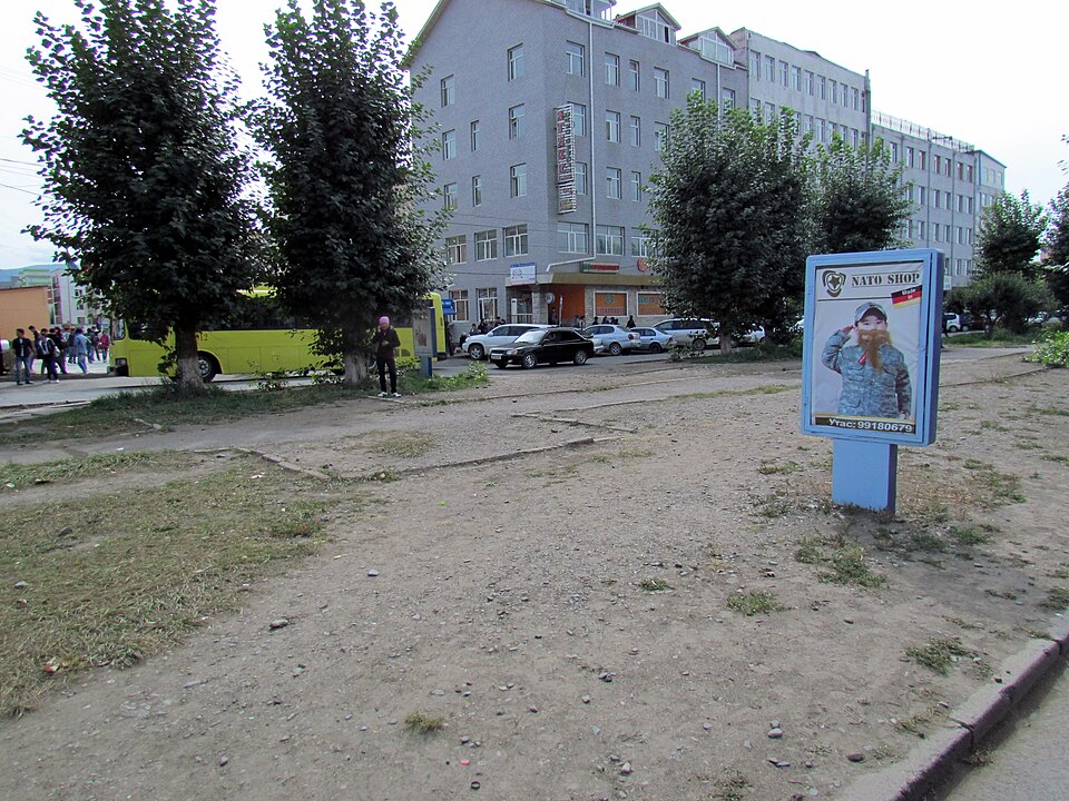 Ulaanbaatar — service booking platforms for local businesses
