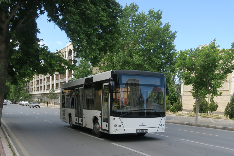 Nakhchivan — local market for online stores
