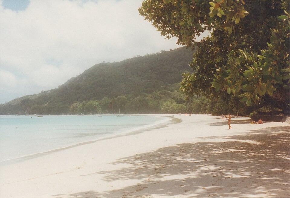 Beau Vallon — manufacturer and distributor portals for local businesses