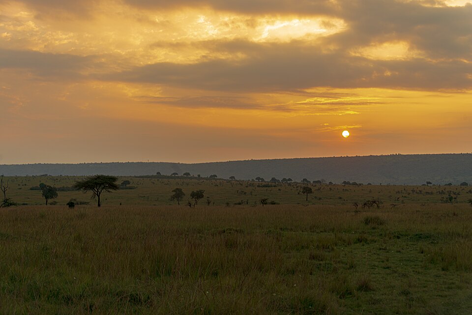 Kenya — multi-vendor marketplaces for local businesses