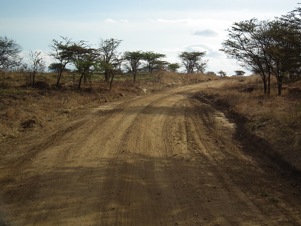 Tanzania — local market for international and multi-region stores