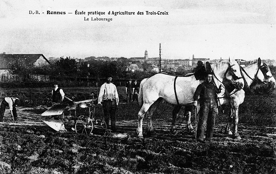 Rennes — international and multi-region stores for local businesses