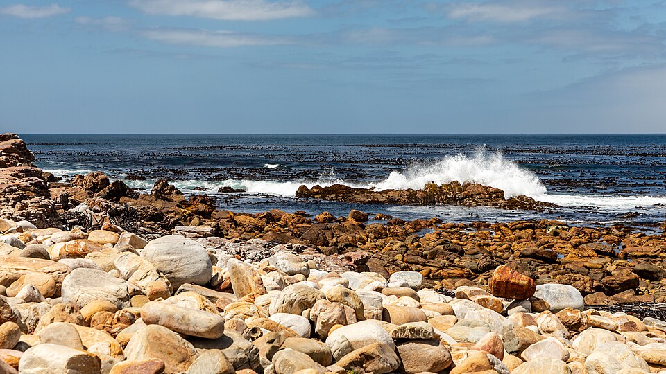 Cape Town — B2B and wholesale portals for local businesses