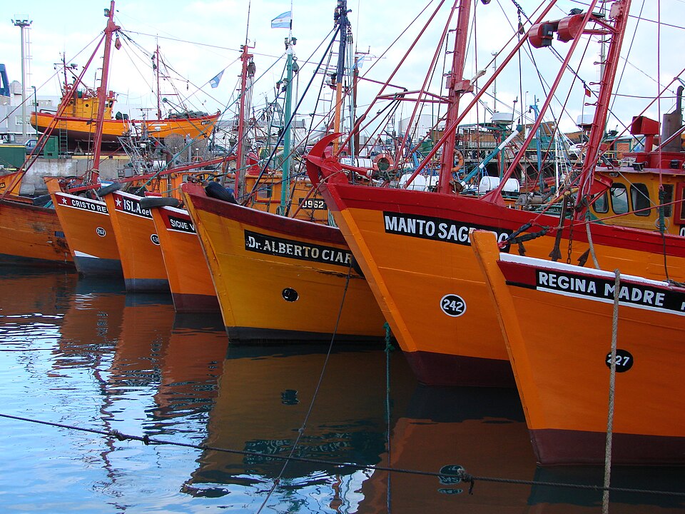 Mar del Plata — international and multi-region stores for local businesses