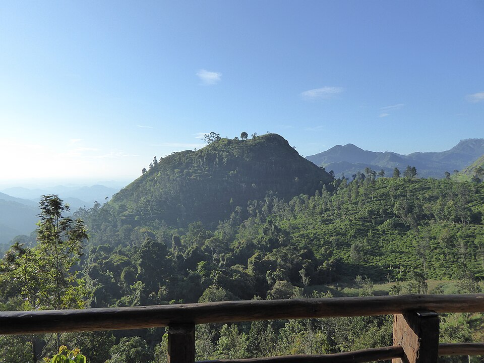 Sri Lanka — service booking platforms for local businesses