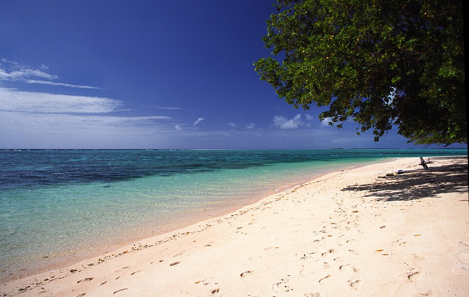 Majuro — online stores for local businesses