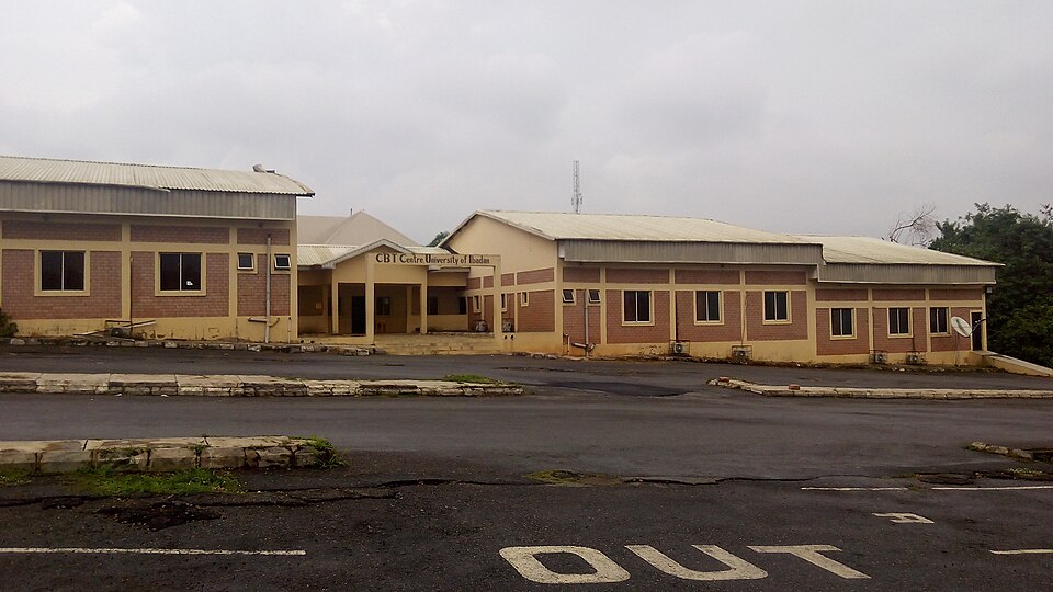 Ibadan — custom e-commerce platforms for local businesses