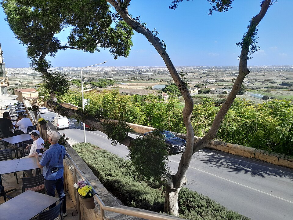 Malta — local market for multi-vendor marketplaces