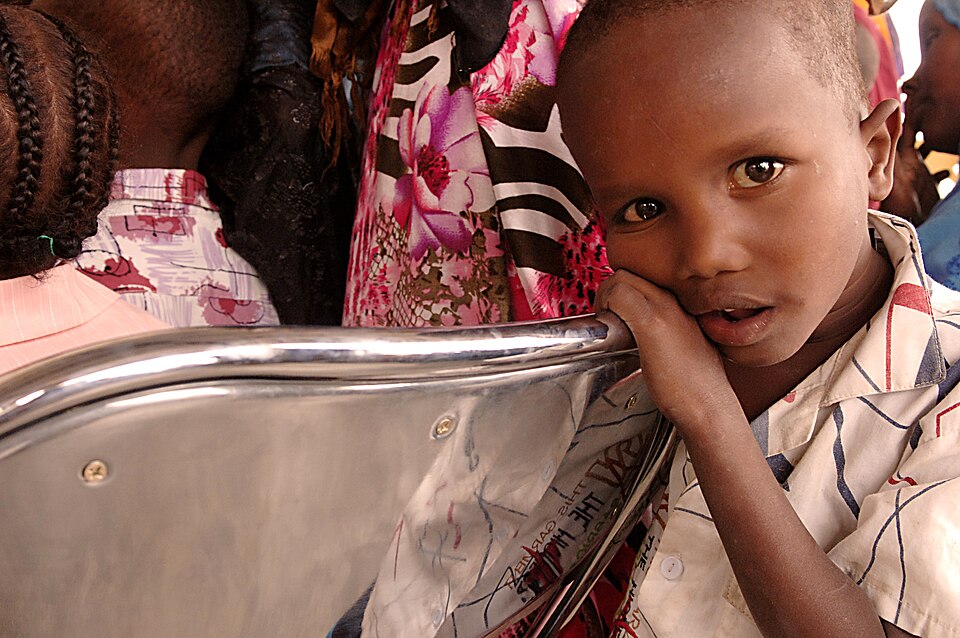 Djibouti — B2B and wholesale portals for local businesses
