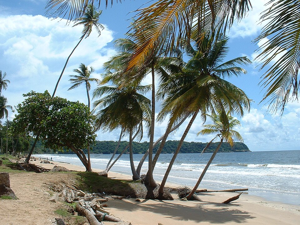 Trinidad and Tobago — local market for multi-vendor marketplaces