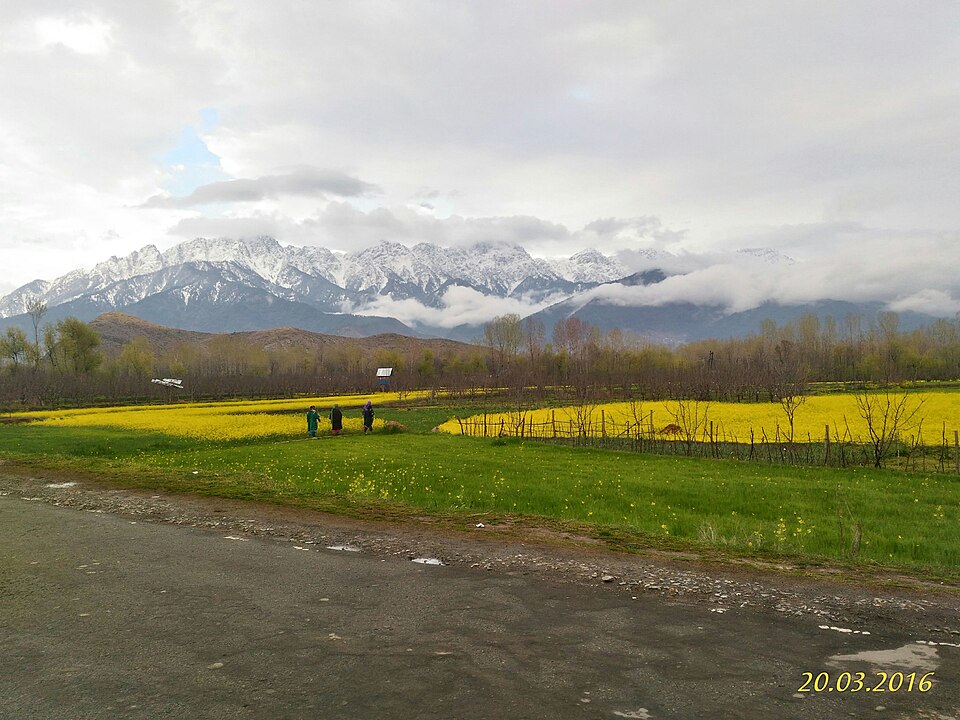 Anantnag — local market for B2B and wholesale portals