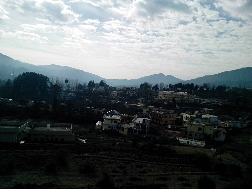 Champawat — service booking platforms for local businesses