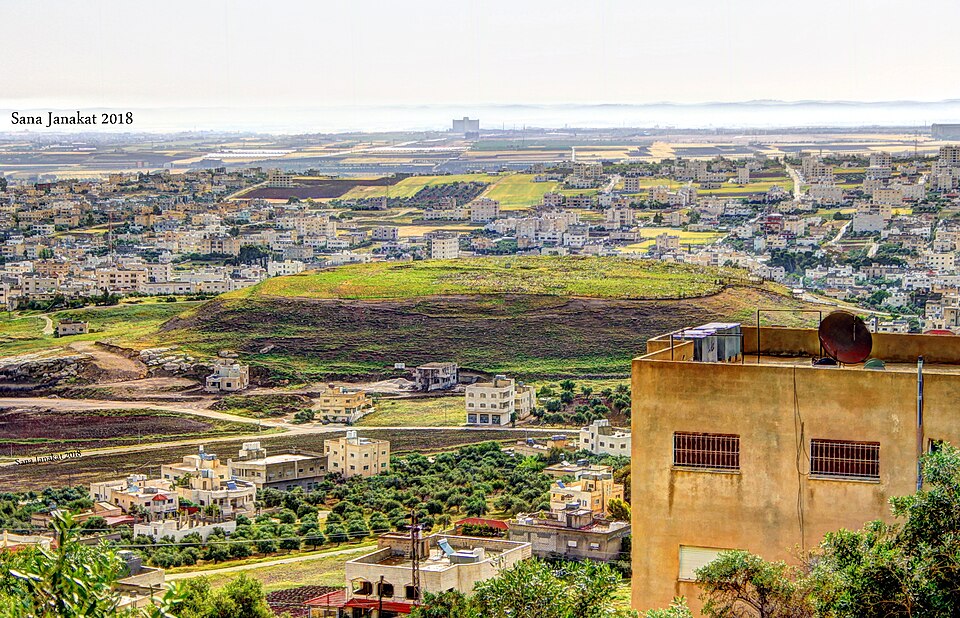 Irbid — local market for mobile commerce apps