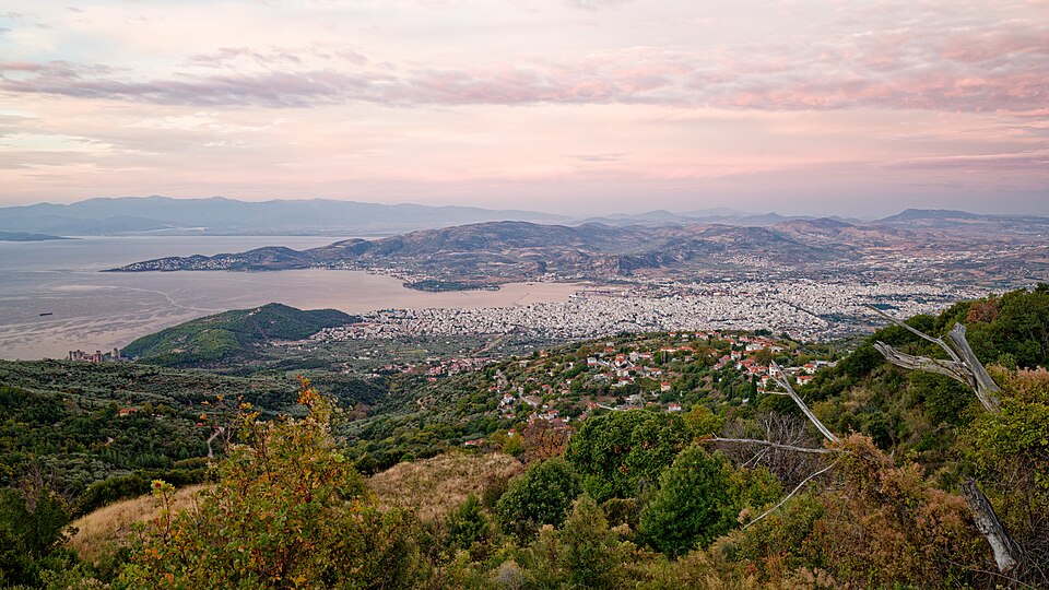 Volos — local market for B2B and wholesale portals
