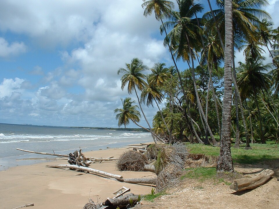 Trinidad and Tobago — local market for subscription and membership platforms