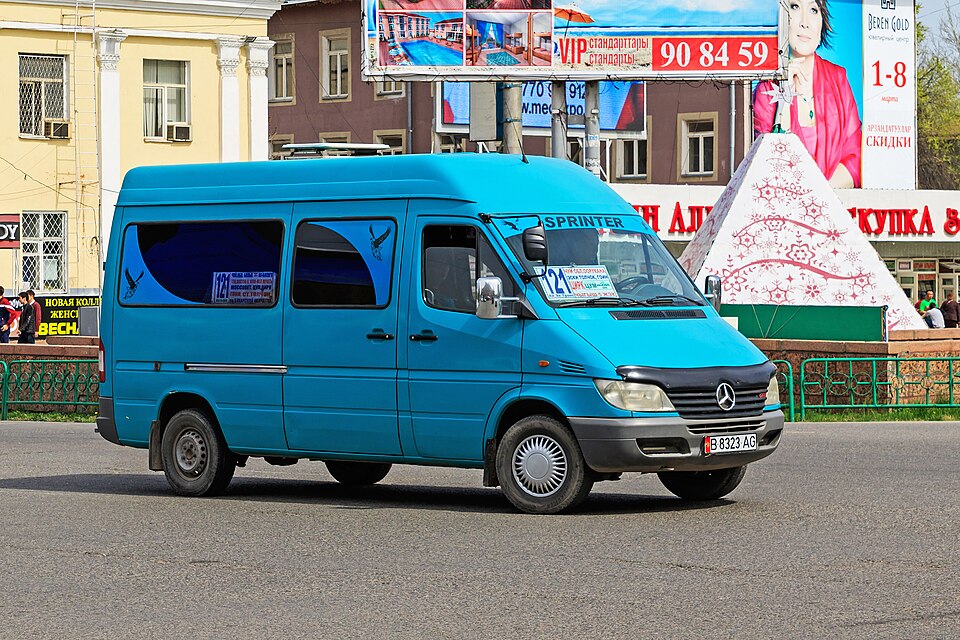Bishkek — custom e-commerce platforms for local businesses