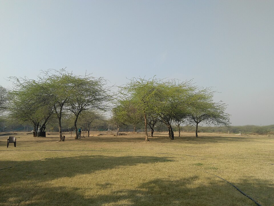 Vasant Kunj — local market for online stores