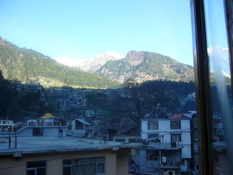 Manali — mobile commerce apps for local businesses
