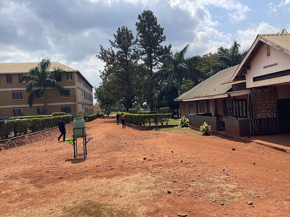 Jinja — local market for subscription and membership platforms