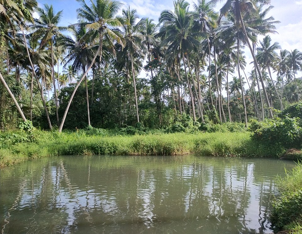 Savusavu — local market for multi-vendor marketplaces