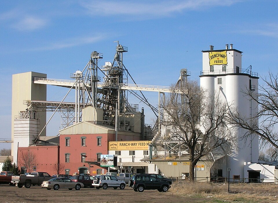 Fort Collins — online stores for local businesses