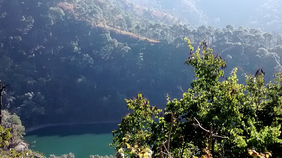 Nainital — service booking platforms for local businesses