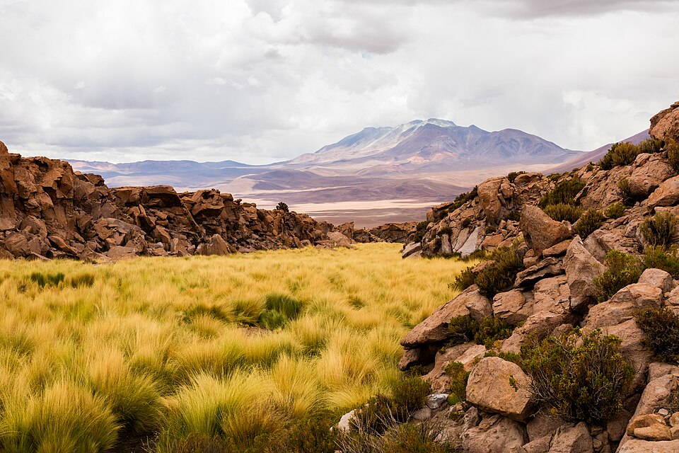 Chile — local market for B2B and wholesale portals