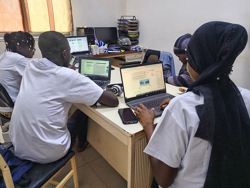 Burkina Faso — local market for custom e-commerce platforms