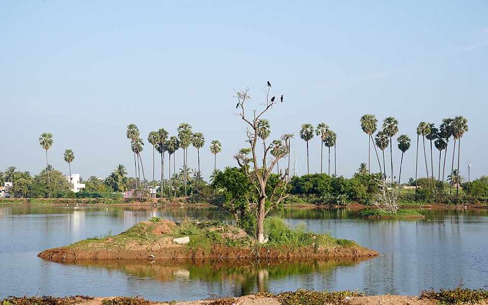 Tirunelveli — manufacturer and distributor portals for local businesses