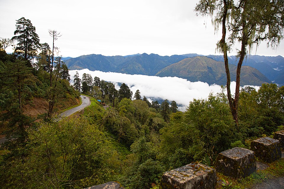Bhutan — local market for manufacturer and distributor portals