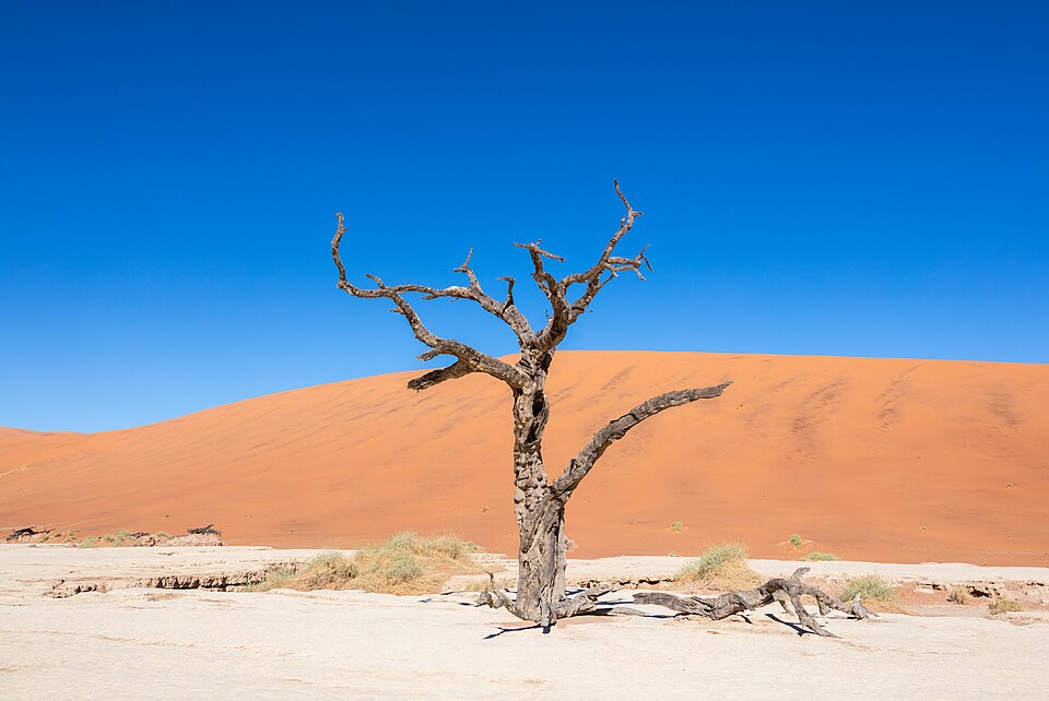 Namibia — local market for B2B and wholesale portals