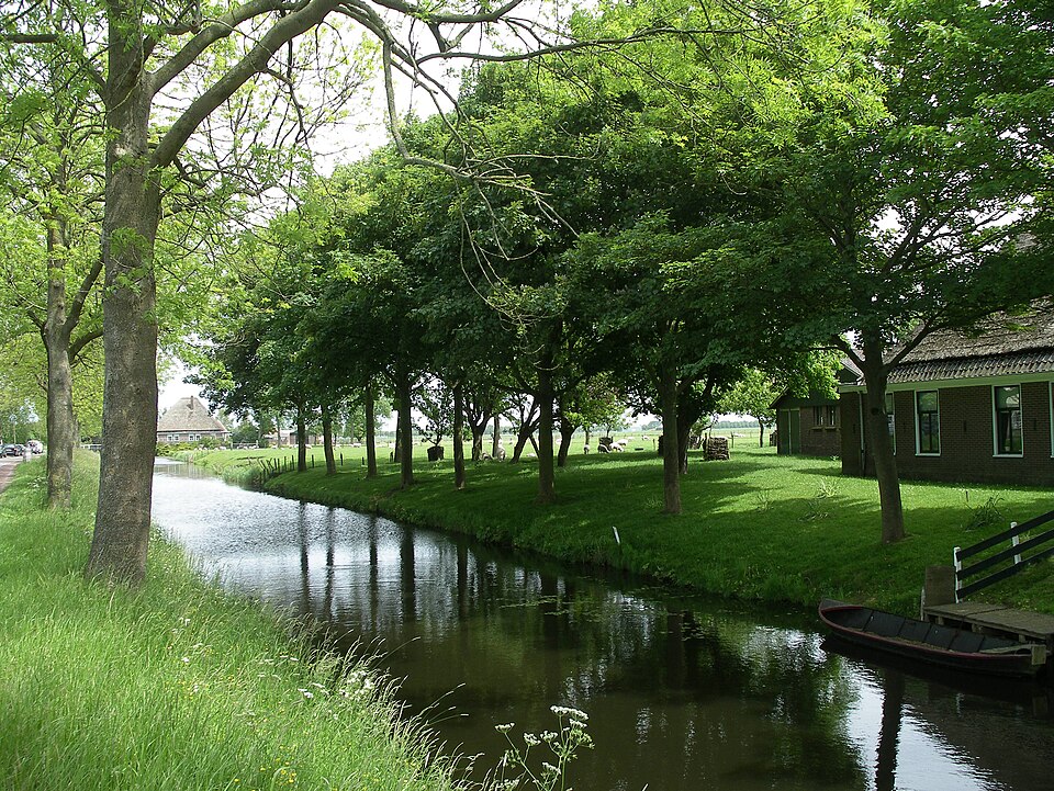 Netherlands — local market for service booking platforms
