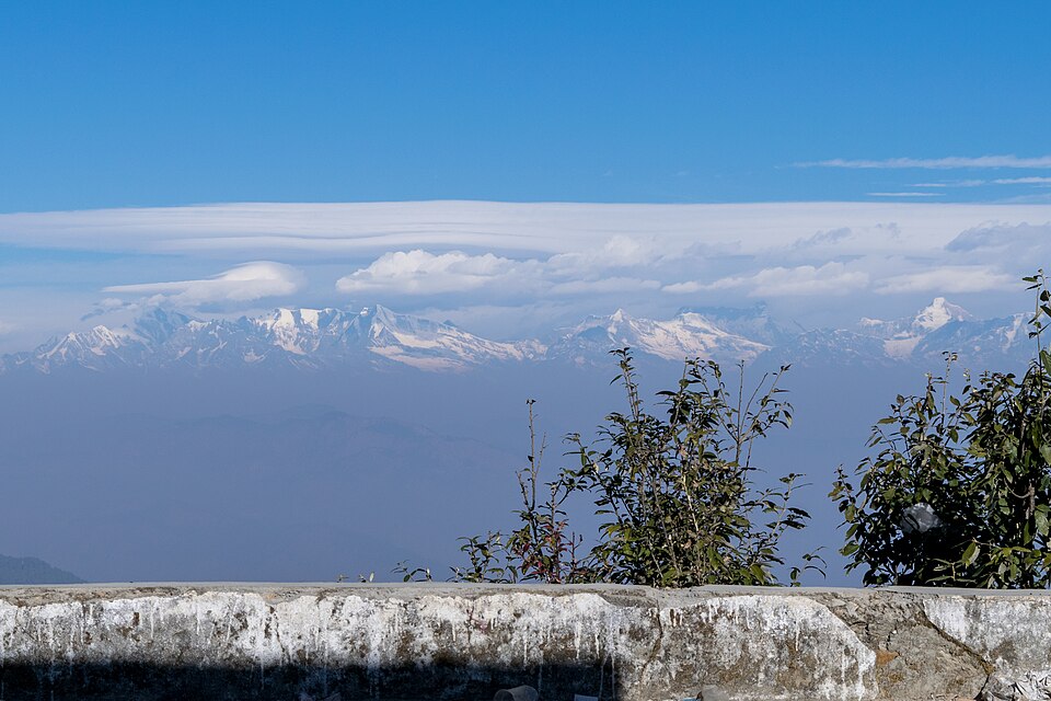 Champawat — international and multi-region stores for local businesses