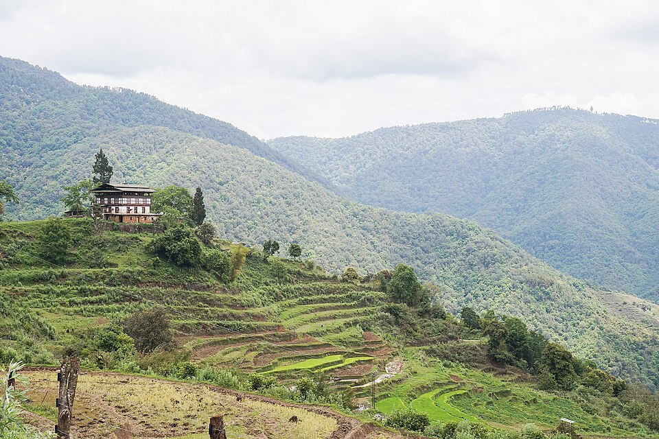 Bhutan — local market for online stores