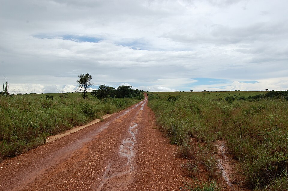 Malawi — local market for B2B and wholesale portals