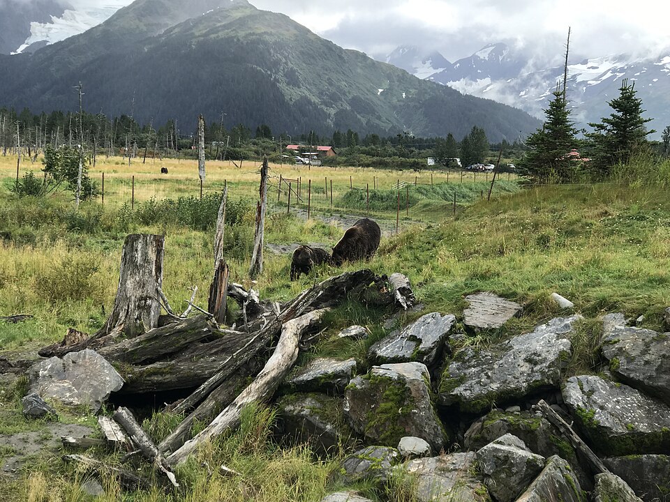 Anchorage — local market for multi-vendor marketplaces