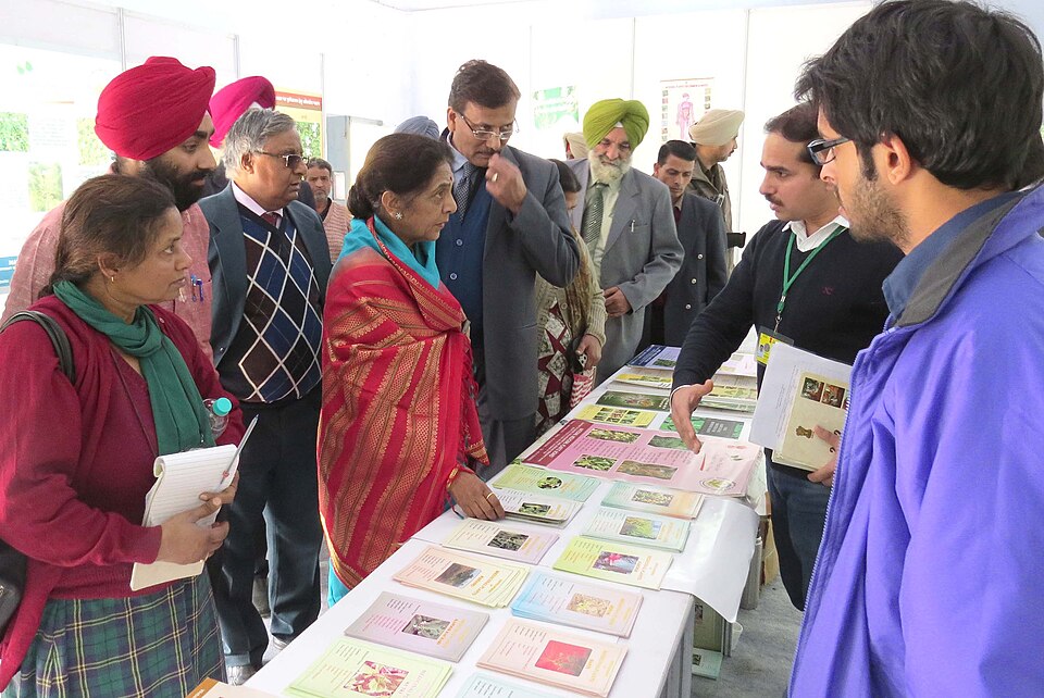 Phagwara — subscription and membership platforms for local businesses