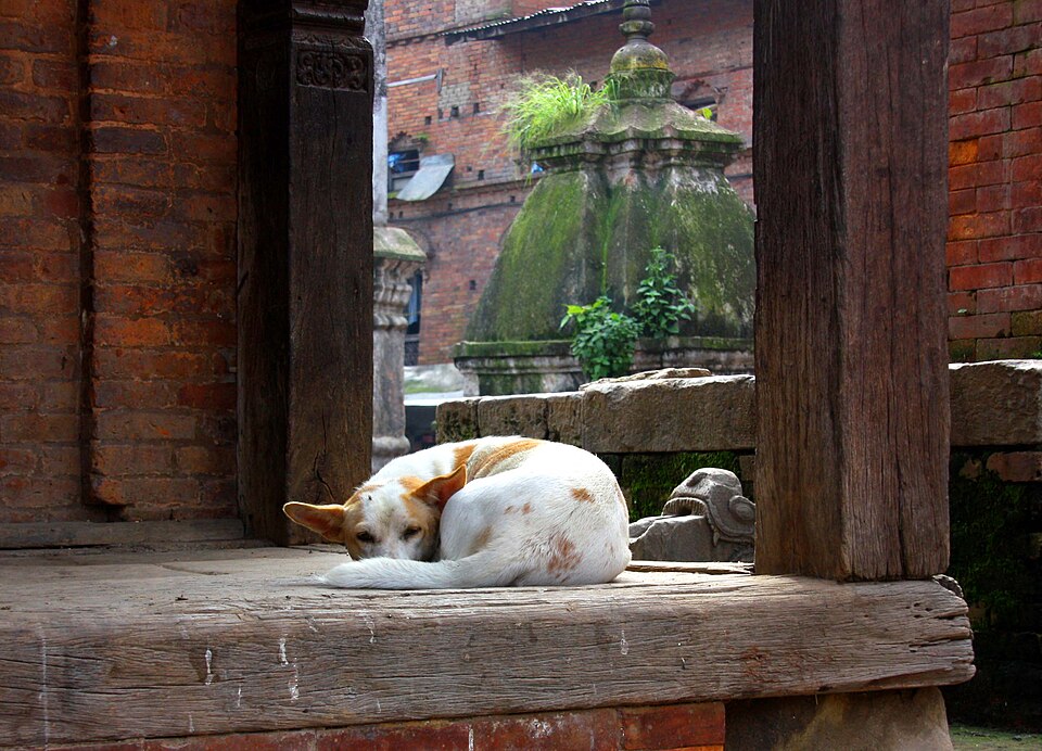 Bhaktapur — service booking platforms for local businesses