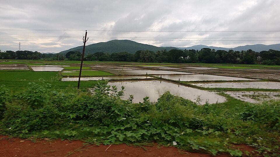 Jajpur — local market for subscription and membership platforms