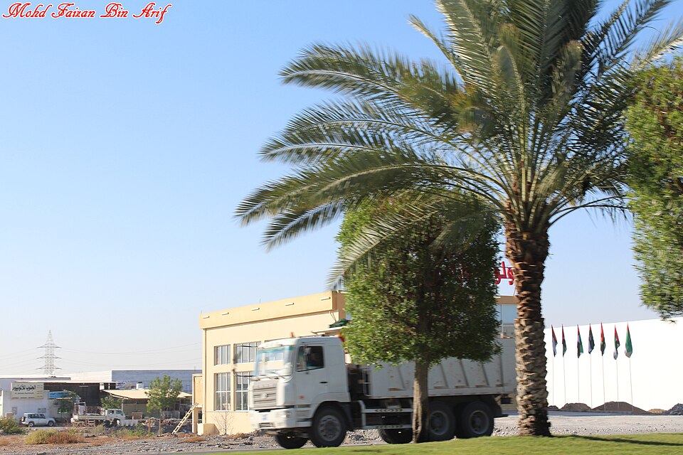 Ras Al Khaimah — local market for international and multi-region stores