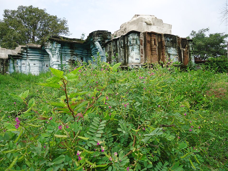 Ramagundam — local market for service booking platforms