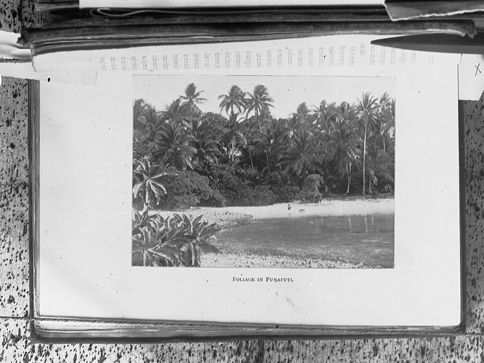 Funafuti (Vaiaku) — local market for international and multi-region stores