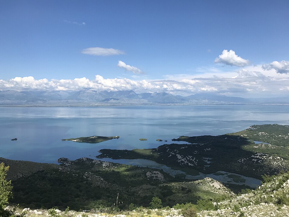 Montenegro — service booking platforms for local businesses